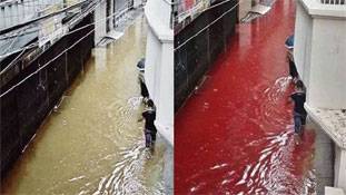 ढाका की सड़कों पर बहा खून 'लाल' ही था !