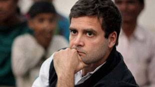 राहुल जूझ रहे हैं और कांग्रेसी आपस में उलझ रहे हैं