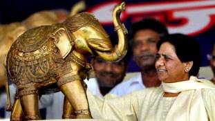 क्या यूपी में हाथी भूखों मरेगा?