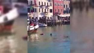 खूबसूरत वेनिस का बदसूरत चेहरा देखिए !