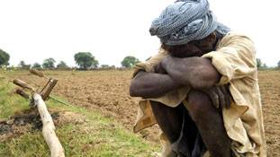 यूपी के कालाहांडी के अमीर उम्मीदवार