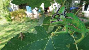 बच्चों की नजर और ये शानदार फोटोग्राफी, हैरान न हो जाएं तो कहना !