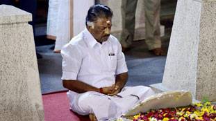 तो पन्नीरसेल्वम को बना दो यूपी का सीएम!