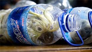 फैशन नहीं, ये क्रूरता है!