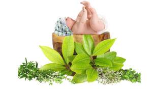 लड़के की है चाह ? तो महाराष्ट्र सरकार की ये किताब पढ़ें