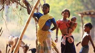 छत्‍तीसगढ़ की ये अफसर अगर सच है तो इससे बर्बर कुछ नहीं हो सकता...