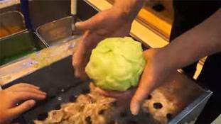 क्या है प्लास्टिक वाली गोभी का सच