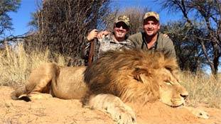 हाथी, शेरों के शिकार का बदला मगरमच्छों ने ले लिया!