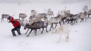 दुनिया के सबसे स्लो टीवी टीवी के बारे में सुना है !