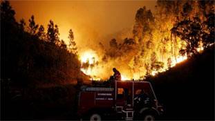 पुर्तगाली जंगल की आग से भारत ले सबक