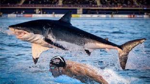 प्रशंसक अपने चैंपियन की हार से नहीं बल्कि छल से हैं नाराज