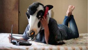 हमारे देश में महिलाएं ज्यादा सुरक्षित हैं या गायें