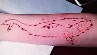 ये खेल हैं या जान के साथ खिलवाड़ ?