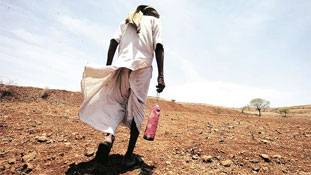 टायलेट..एक क्रूर कथा