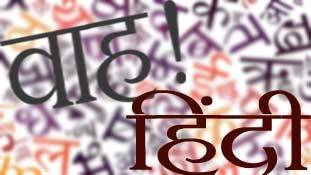 हिंदी अकादमियों से सम्मानित लोग नहीं हैं हिंदी सेवी !