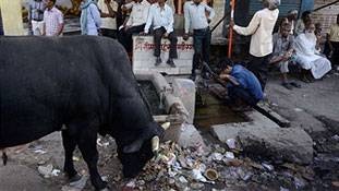 मंदिर के पास कूड़े का ढेर बताता है कितने धार्मिक हैं हम...