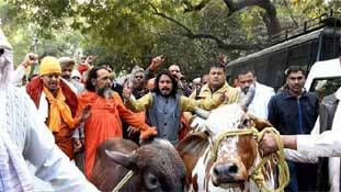 इस गौरक्षक के समर्थन में क्यों न अब सारे लिबरल एक हो जाएं