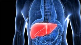 लिवर की बीमारी होने से पहले शरीर से मिलते हैं ये 7 संकेत...