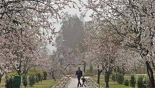 दो सबक जो वसंत पंचमी हम सबको देती है दो सबक जो वसंत पंचमी हम सबको देती है