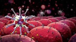 शाकाहार से कैंसर ठीक होने का दावा करने वाली महिला की मौत ने इन मिथकों से पर्दा उठा दिया है