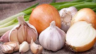 आखिर क्यों नवरात्रि में लहसुन प्याज खाने की होती है मनाही, जानिए...