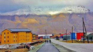 इस खूबसूरत शहर में मरना और बिल्लियां पालना है गैरकानूनी...