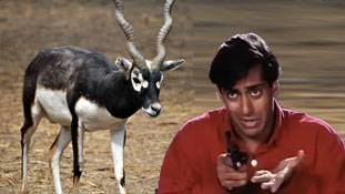 सतयुग से कलयुग तक हिरण ने ऐसे बदला लोगों का भविष्य...