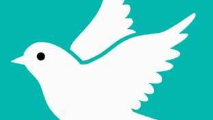 फेसबुक पर फिर उड़ने लगी है एक नई ई-चिड़िया