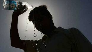 10 फ़ूड, जो गर्मी से बचाव वाले सुरक्षा कवच हैं 10 फ़ूड, जो गर्मी से बचाव वाले सुरक्षा कवच हैं