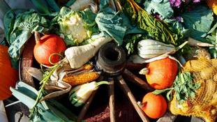 खाने पीने की वो गलतियां जो शरीर पर भारी पड़ रही हैं