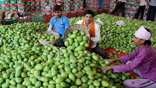 इस बार लोगों के लिए आम 'खट्टे' हैं