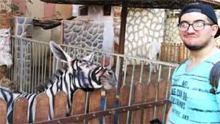 ये गधे का प्रमोशन है या उसका अपमान?