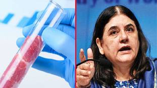 मेनका गांधी का 'अहिंसा मीट' पच क्‍यों नहीं रहा है...