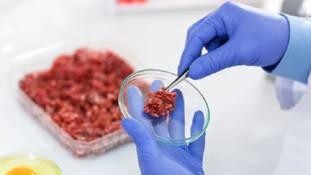 'अहिंसा मीट' यदि बीफ हुआ तो क्‍या हिंदू खा सकेंगे?