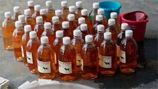 गौमूत्र के धंधे में दूध से ज्‍यादा तेजी !