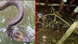 केरल में घर लौट रहे लोगों का ज़हरीला स्वागत!