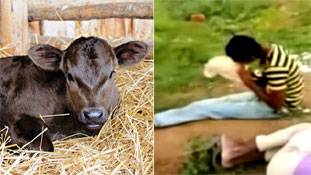 जहां लोग जिंदा मुर्गा खा रहे हैं, वहां ममता जगाने से क्या फायदा?