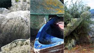 दीवार पर जाले देख मुंह बनाने वालों, एक शहर को जाला लग गया है