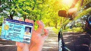 वो देश जहां भारतीय लाइसेंस पर चलाई जा सकती है गाड़ी..