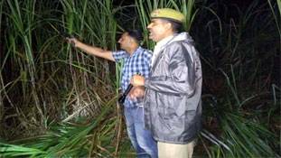 'मजा मारें गाज़ी मियां, धक्का खाये मुजावर' बनाम 'ठांय-ठांय'