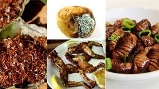 आप सोच भी नहीं सकते क्या-क्या खाते हैं भारतीय !