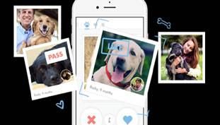 कुत्तों का टिंडर, क्योंकि सिर्फ इंसान ही क्यों डेटिंग का मजा लें