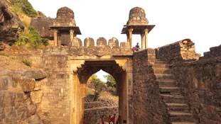 काश हम अपनी विरासत को संभाल पाते- ढह रहा है रायसेन का किला