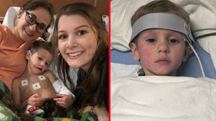 अगर बच्चे झूठ नहीं बोलते, तो इस मासूम को दो दिन का 'मोगली' ही समझिए!