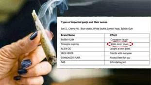 गांजे के 'आनंद' का बखान भी, और चेतावनी भी!