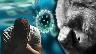 Monkey Fever फिर लौटा लोगों का चैन छीनने