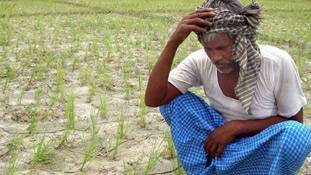 'सम्मान' के 6000 रुपए से किसान क्या-क्या कर सकता है?