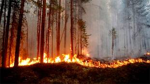 गौर से सुनिए... धरती ने खतरे का अलार्म बजा दिया है!