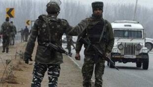 कश्मीर घाटी में जब हिंदुओं से चिनार छीना गया, वहां बबूल तो तभी उग आए थे कश्मीर घाटी में जब हिंदुओं से चिनार छीना गया, वहां बबूल तो तभी उग आए थे