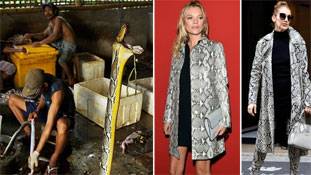 सांप डरावने हैं, लेकिन उन्हें पहनने का फैशन तो निकृष्ट है